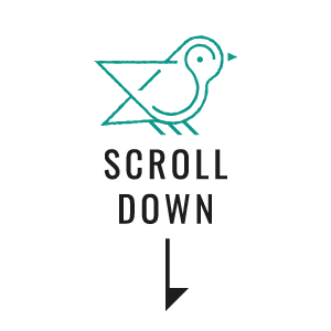 SCROLL DOWN